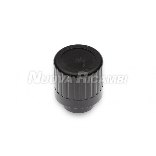 STEAM/W VALVE KNOB P6