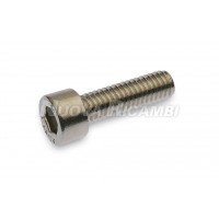 S.STEEL SCREW TCE M6x20