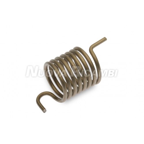 GROUP STEM SPRING