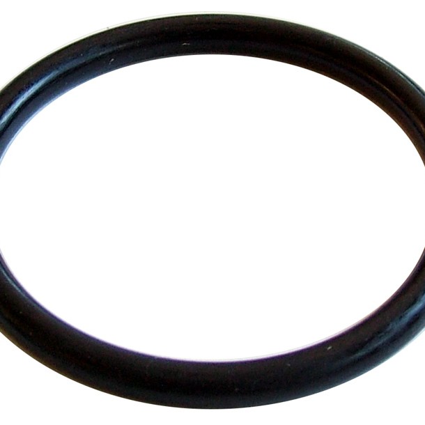 GROUP HEAD O-RING 66x56x6