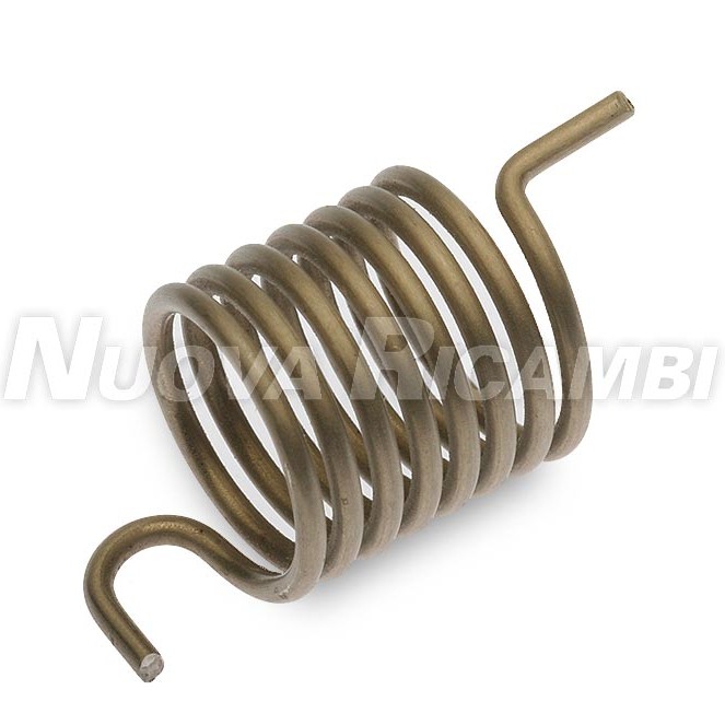 GROUP STEM SPRING