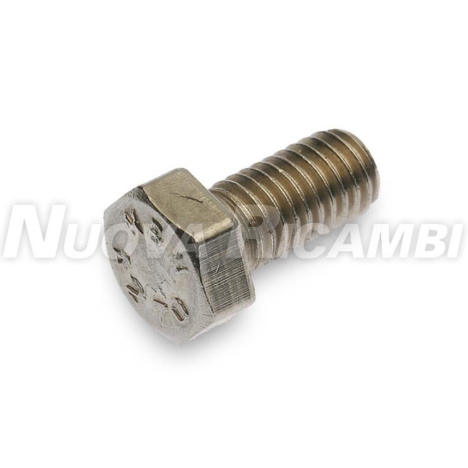 SCREW S.S. TE M5X10