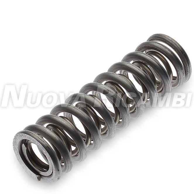 PISTON SPRING SET